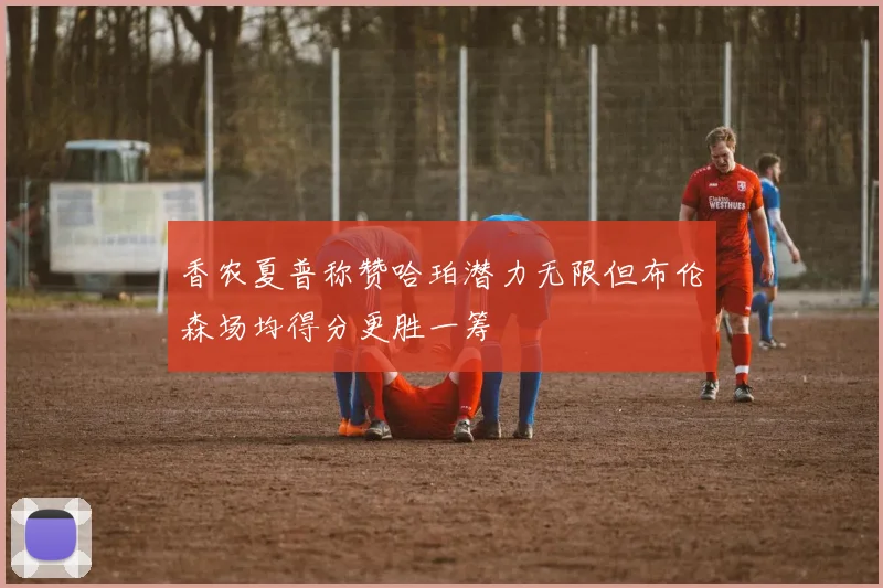 香农夏普称赞哈珀潜力无限但布伦森场均得分更胜一筹